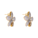 MINI ORQUÍDEA CATLEYA CRISTAL