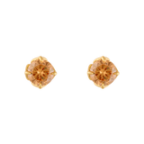 TOPOS CRISTAL CHAMPAGNE DORADOS